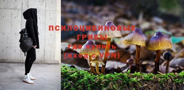 мет Новодвинск